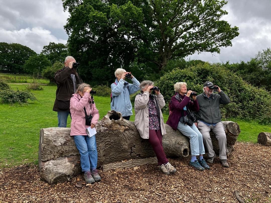 A group of people sitting on a large log and looking at birds through binoculars.